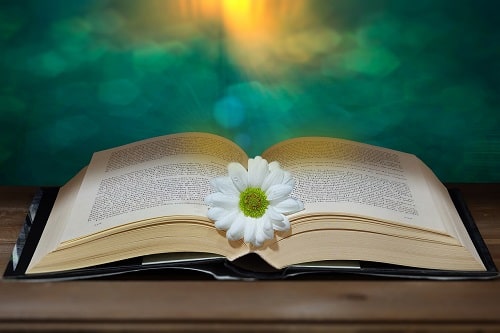My Greek Books May 2021 Reads_Image by Amduma from Pixabay